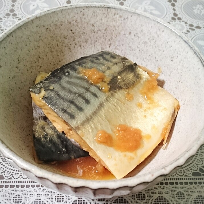 簡単♪サバの生姜梅煮